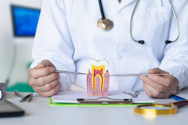 Best Emergency Treatment for Toothache in Wisr, NE